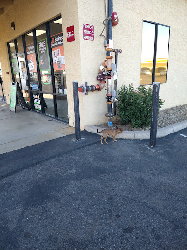 Car Battery Store «Batteries Plus Bulbs», reviews and photos, 12845 W Bell Rd, Surprise, AZ 85378, USA