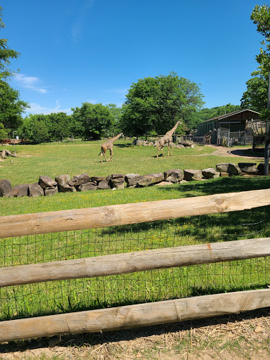 Zoo «Cleveland Metroparks Zoo», reviews and photos, 3900 Wildlife Way, Cleveland, OH 44109, USA