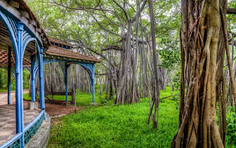 Adyar Banyan Tree image