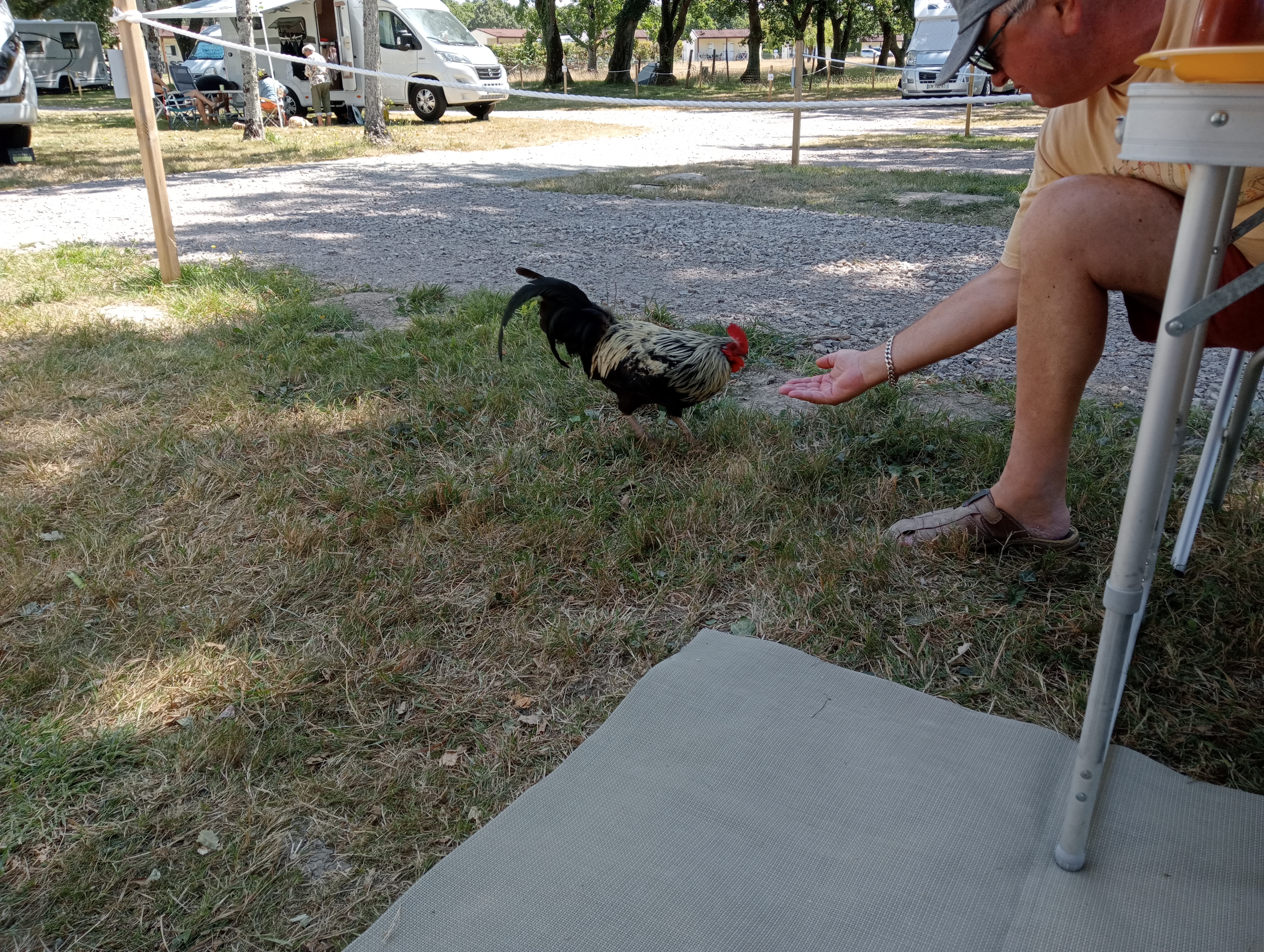 Photo n° 1 de l'avis de Ghislaine.a fait le 13/08/2023 à 08:27