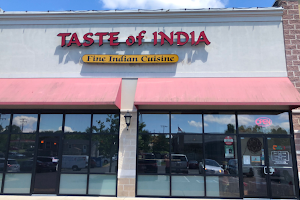 Taste Of India image