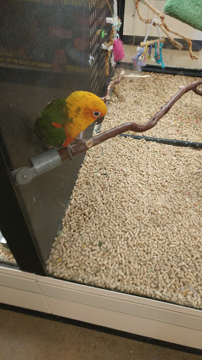 Pet Supply Store «PetSmart», reviews and photos, 12020 Cherry Hill Rd, Silver Spring, MD 20904, USA