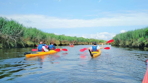 KAYAK TRIP à Le Teich