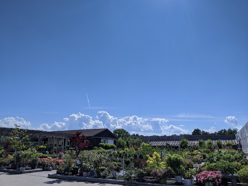 Maple Ridge Farm Greenhouse and Nursery image 8