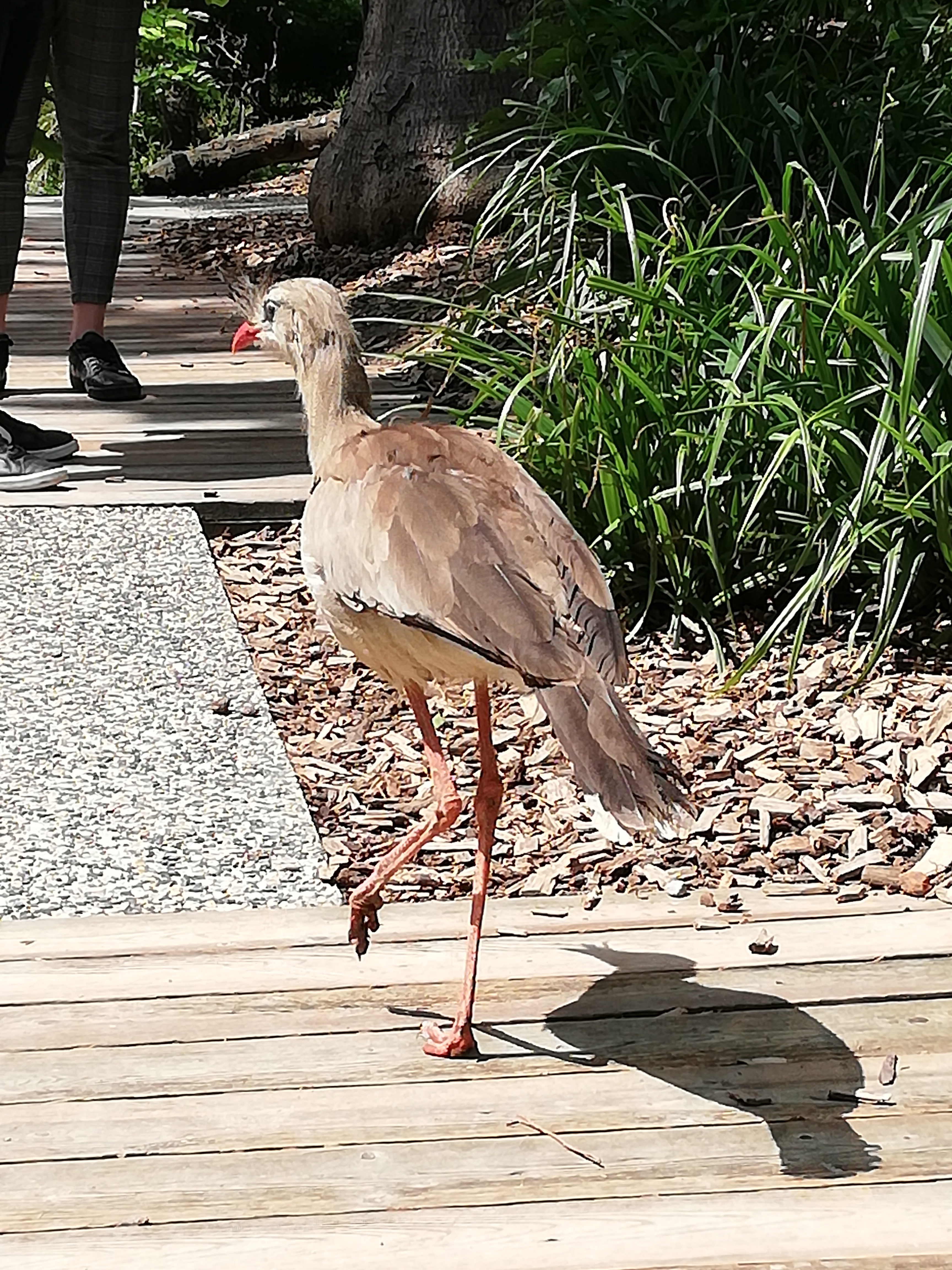 Photo n° 2 de l'avis de Saku'. fait le 06/06/2019 à 12:51