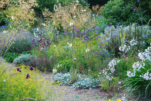 Beth Chatto's Plants & Gardens