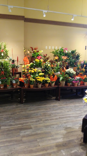 Department Store «Vons», reviews and photos, 130 W Foothill Blvd, Monrovia, CA 91016, USA