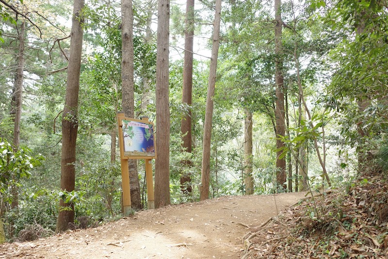 高尾山 2号路