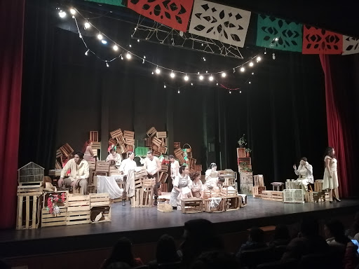 Teatro Universitario de los Jaguares