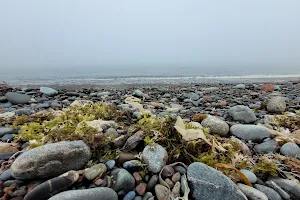 Canada's Ocean Playground image