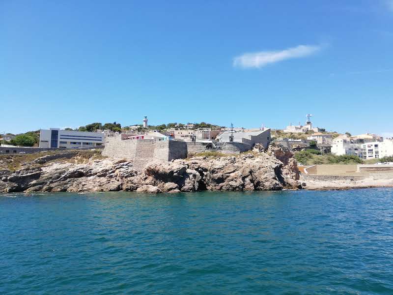 Photo n° 20 de l'avis de Schout.a fait le 15/07/2019 à 09:52