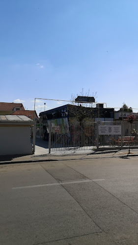 Comentarii opinii despre Unicarm