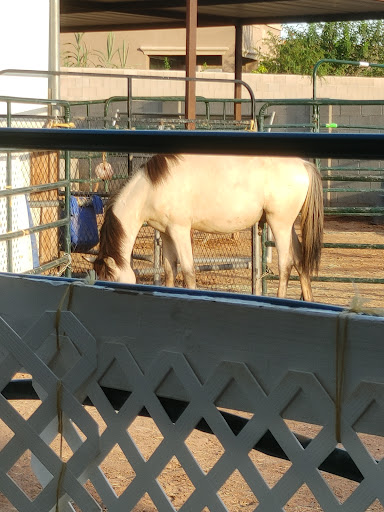Wildhorse Ranch Rescue
