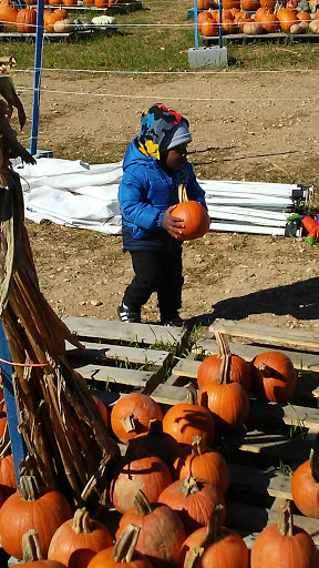 Produce Market «Miller Farms», reviews and photos, 10140 Piscataway Rd, Clinton, MD 20735, USA