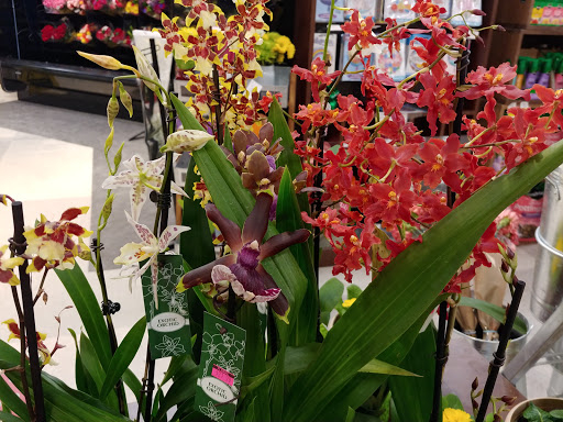 Shopping Mall «Southern Plaza Shopping Center», reviews and photos, 4200 S East St, Indianapolis, IN 46227, USA