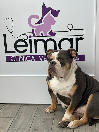Clínica Veterinaria Leimar en Ceuta