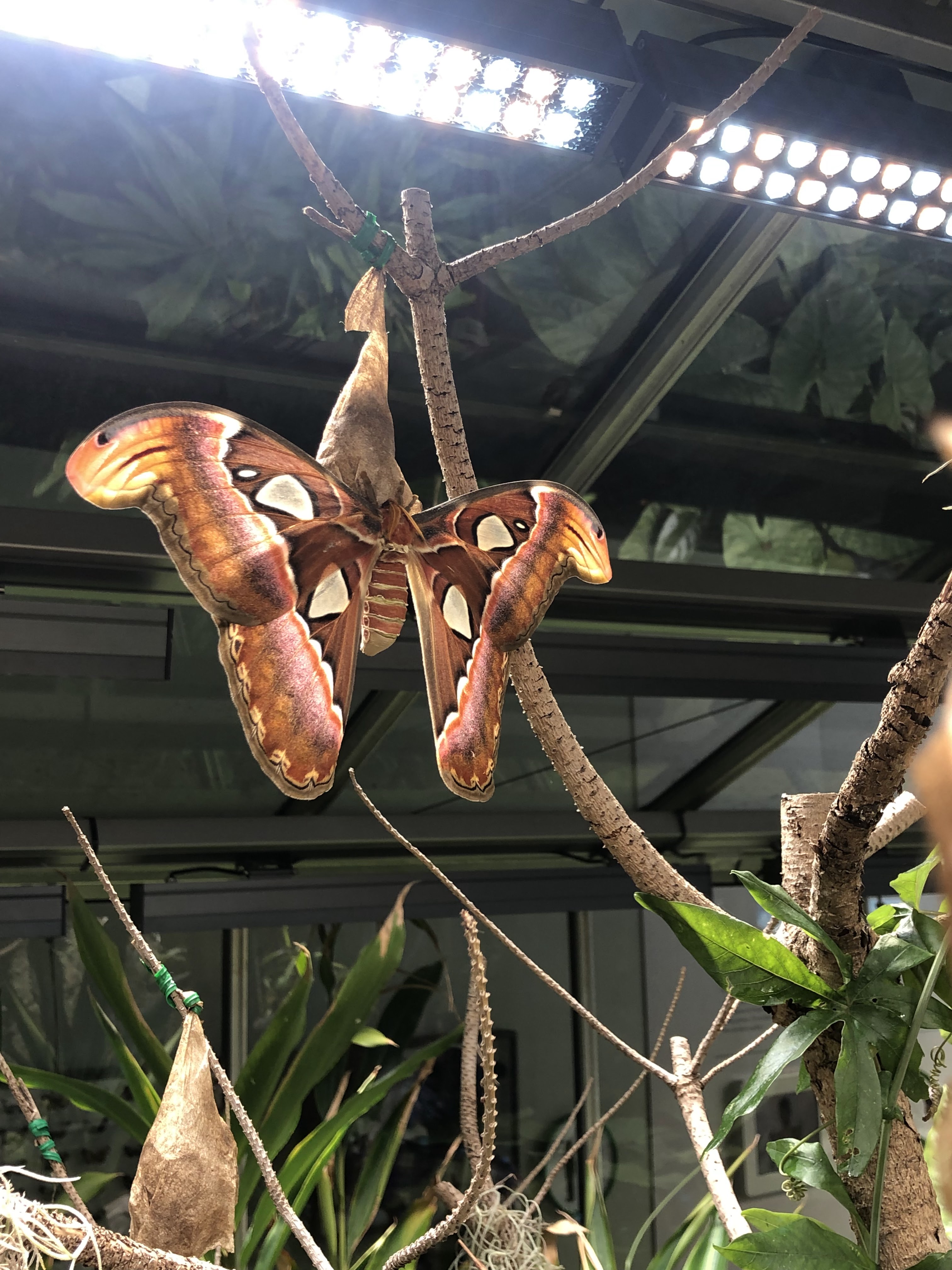 Photo n° 25 de l'avis de Nicolas.a fait le 07/06/2022 à 05:35