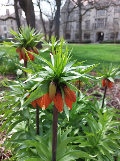 Book Store «University of Chicago Bookstore», reviews and photos, 970 E 58th St, Chicago, IL 60637, USA