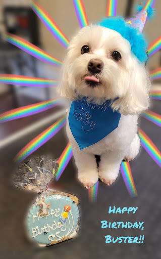 Pet Supply Store «Dog Style Canine Supply Company», reviews and photos, 2002 Judson Rd Suite 102, Longview, TX 75605, USA