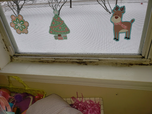 Craft Store «Michaels», reviews and photos, 402 W Army Trail Rd, Bloomingdale, IL 60108, USA