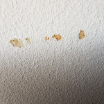 Photo n°23 de l'avis de Lennart.� fait le 06/04/2018 à 12:40 sur le  Landhaus Höpen à Schneverdingen