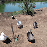 Photo n°1 de l'avis de Fabio.o fait le 04/08/2022 à 12:40 sur le  Lo Zeffiro F.lli Mizzon à Sabaudia