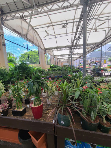 Home Improvement Store «The Home Depot», reviews and photos, 1151 W Copans Rd, Pompano Beach, FL 33064, USA