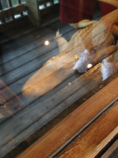 Restaurant «Fudpuckers Beachside Bar & Grill», reviews and photos, 20001 Emerald Coast Pkwy, Destin, FL 32541, USA