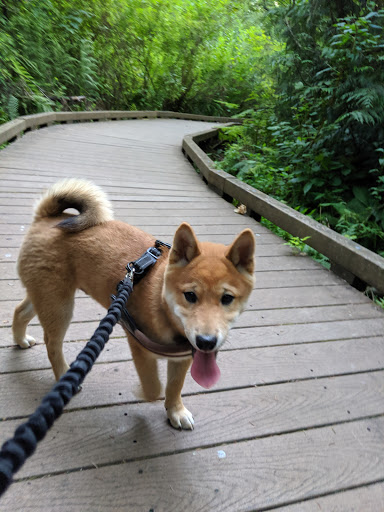 Park «West Hylebos Wetlands Park», reviews and photos, 411 S 348th St, Federal Way, WA 98003, USA