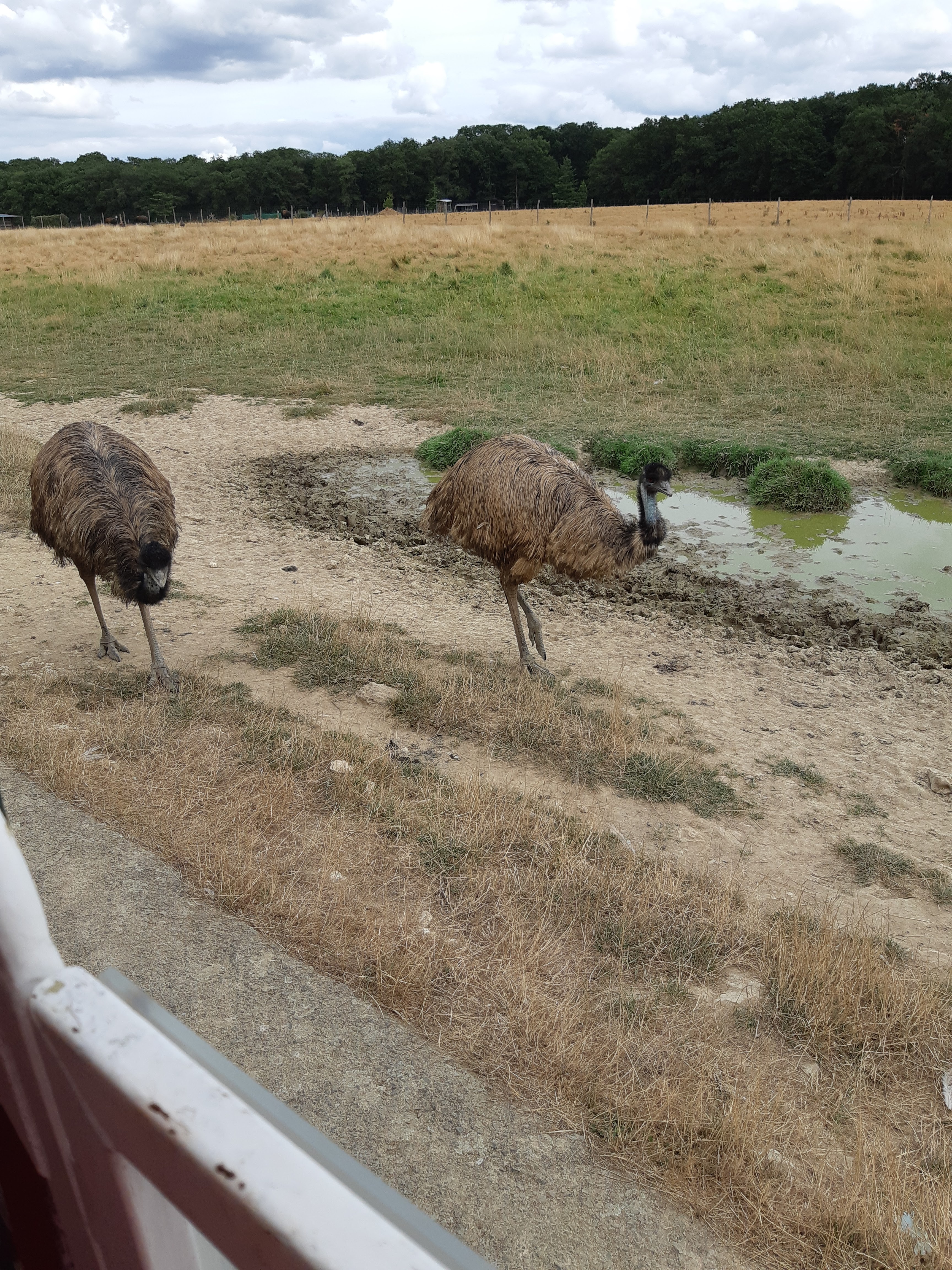 Photo n° 35 de l'avis de Carla.a fait le 10/08/2018 à 15:54