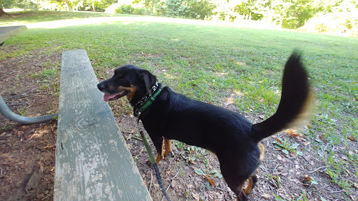 Park «Cherokee Park», reviews and photos, 745 Cochran Hill Rd, Louisville, KY 40206, USA