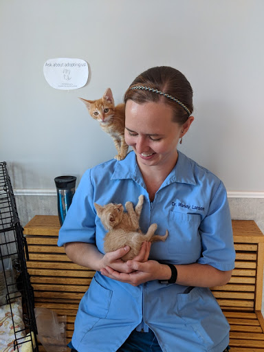 All-Pets Hospital image