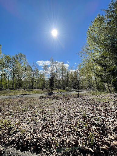 Park «Tukwila Pond Park», reviews and photos, 299 Strander Blvd, Tukwila, WA 98188, USA