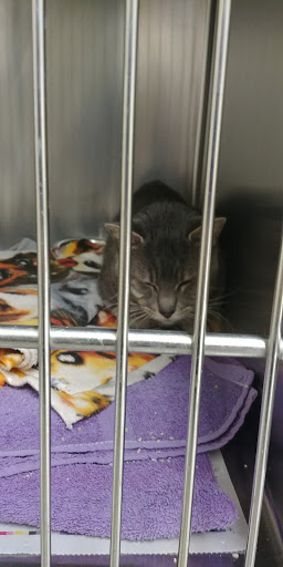 Pet Supply Store «Petco», reviews and photos, 590 E Waterfront Dr, Homestead, PA 15120, USA