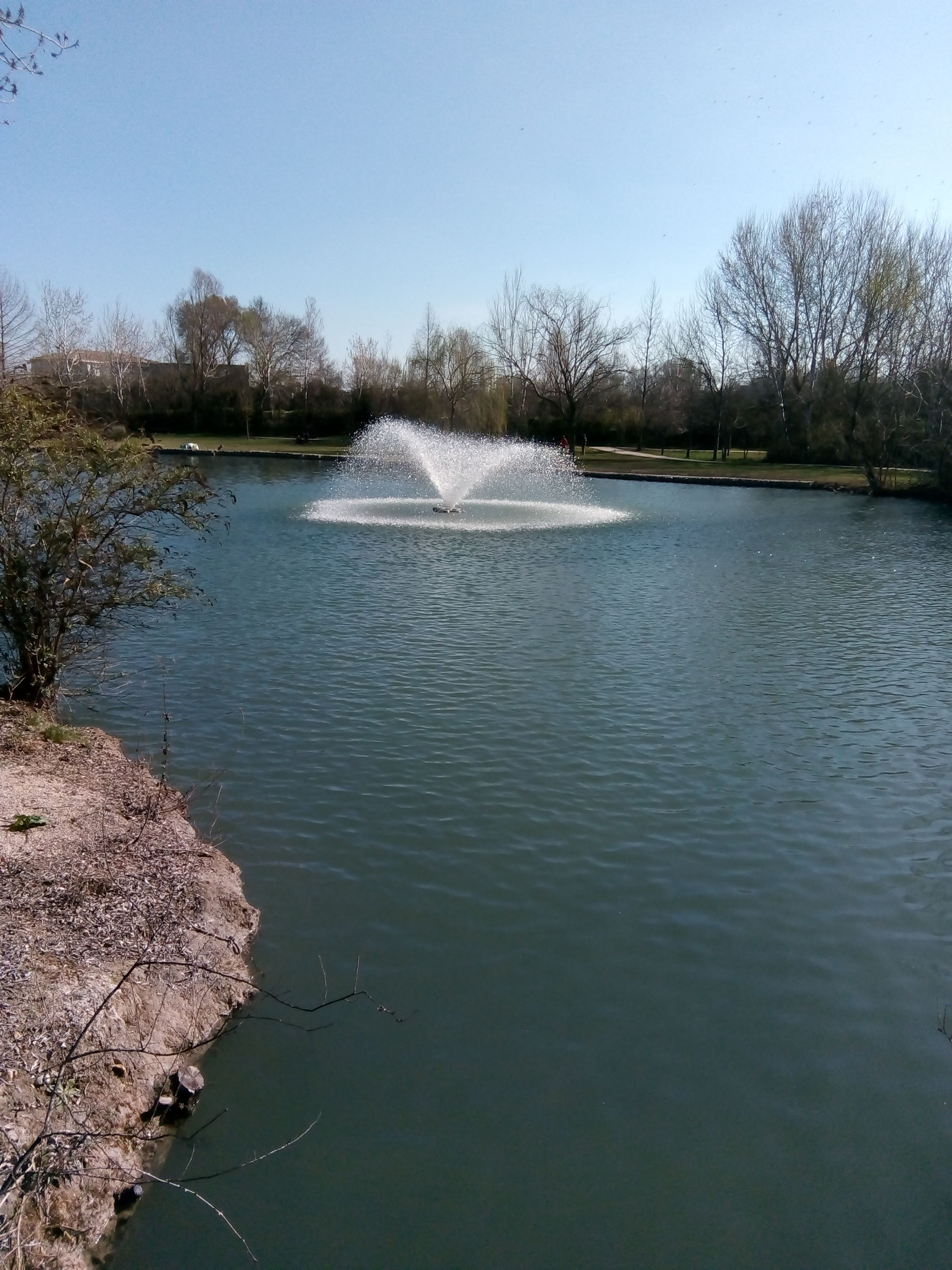Photo n° 2 de l'avis de Coccinelle. fait le 22/02/2020 à 18:53