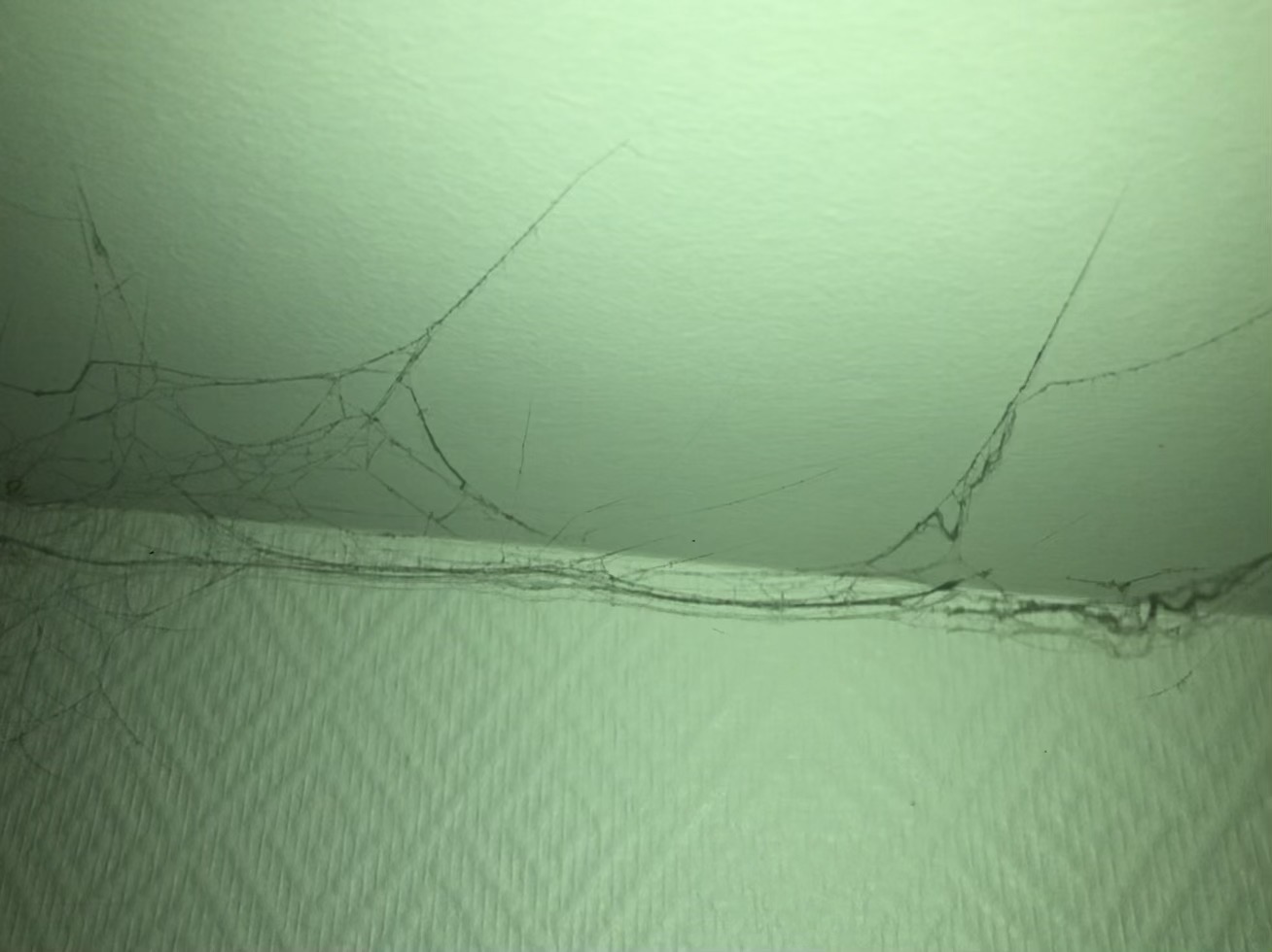 Photo n° 7 de l'avis de bruno.a fait le 17/09/2022 à 19:25