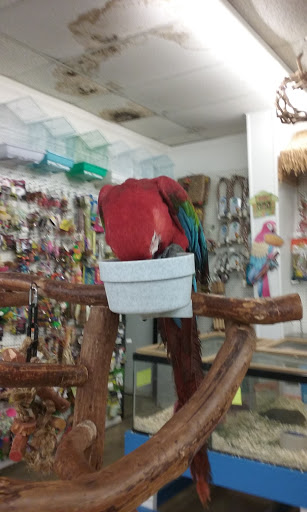 Pet Store «Pet World - Auburndale», reviews and photos, 3637 Havendale Blvd, Auburndale, FL 33823, USA