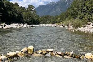 Le golene della Valle Maggia image