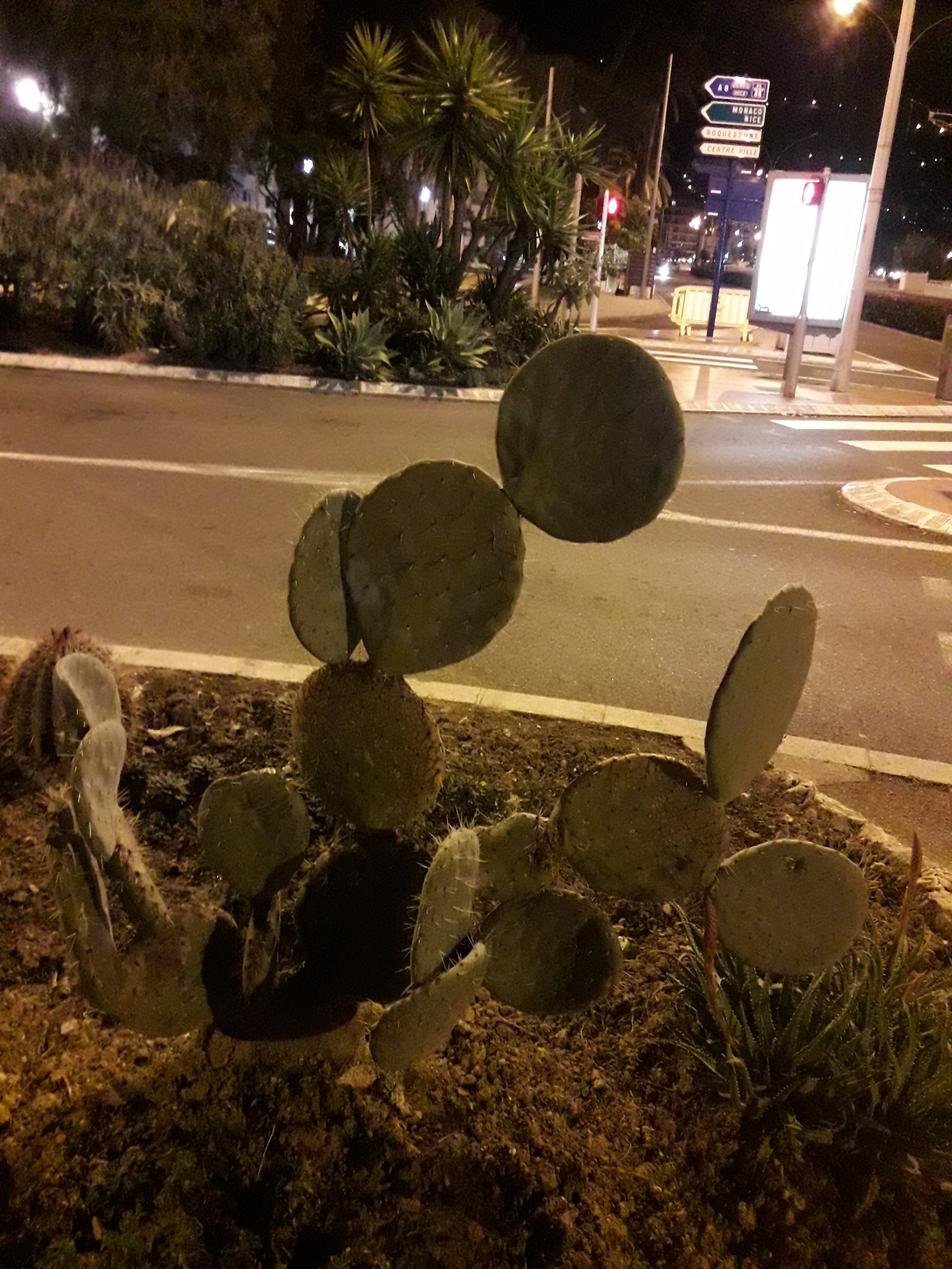 Photo n° 13 de l'avis de Stefe. fait le 25/02/2018 à 00:05