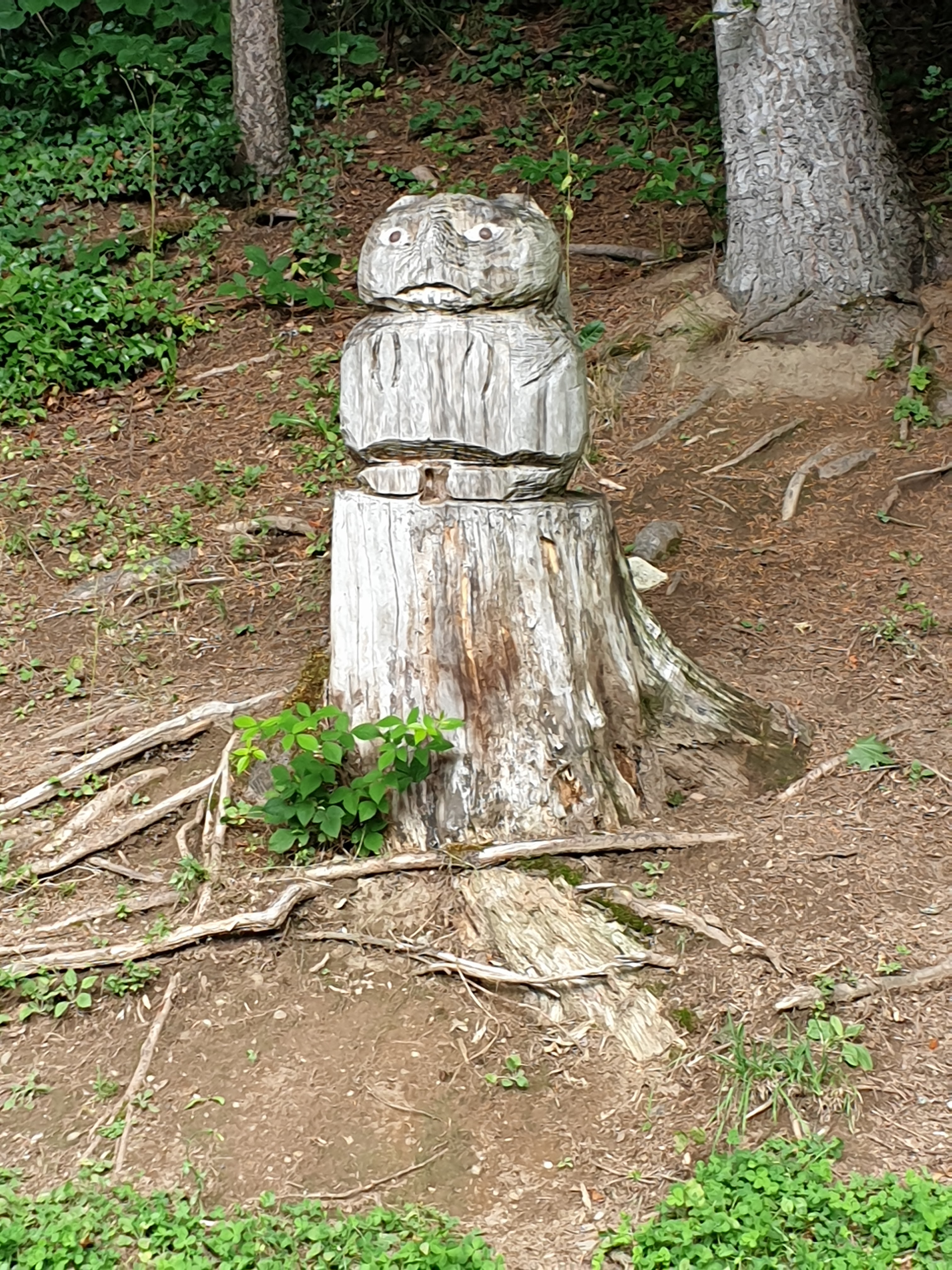Photo n° 2 de l'avis de Adeline. fait le 23/08/2019 à 11:10