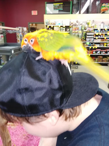 Pet Store «Petland Montgomery», reviews and photos, 7127 Eastchase Pkwy, Montgomery, AL 36117, USA