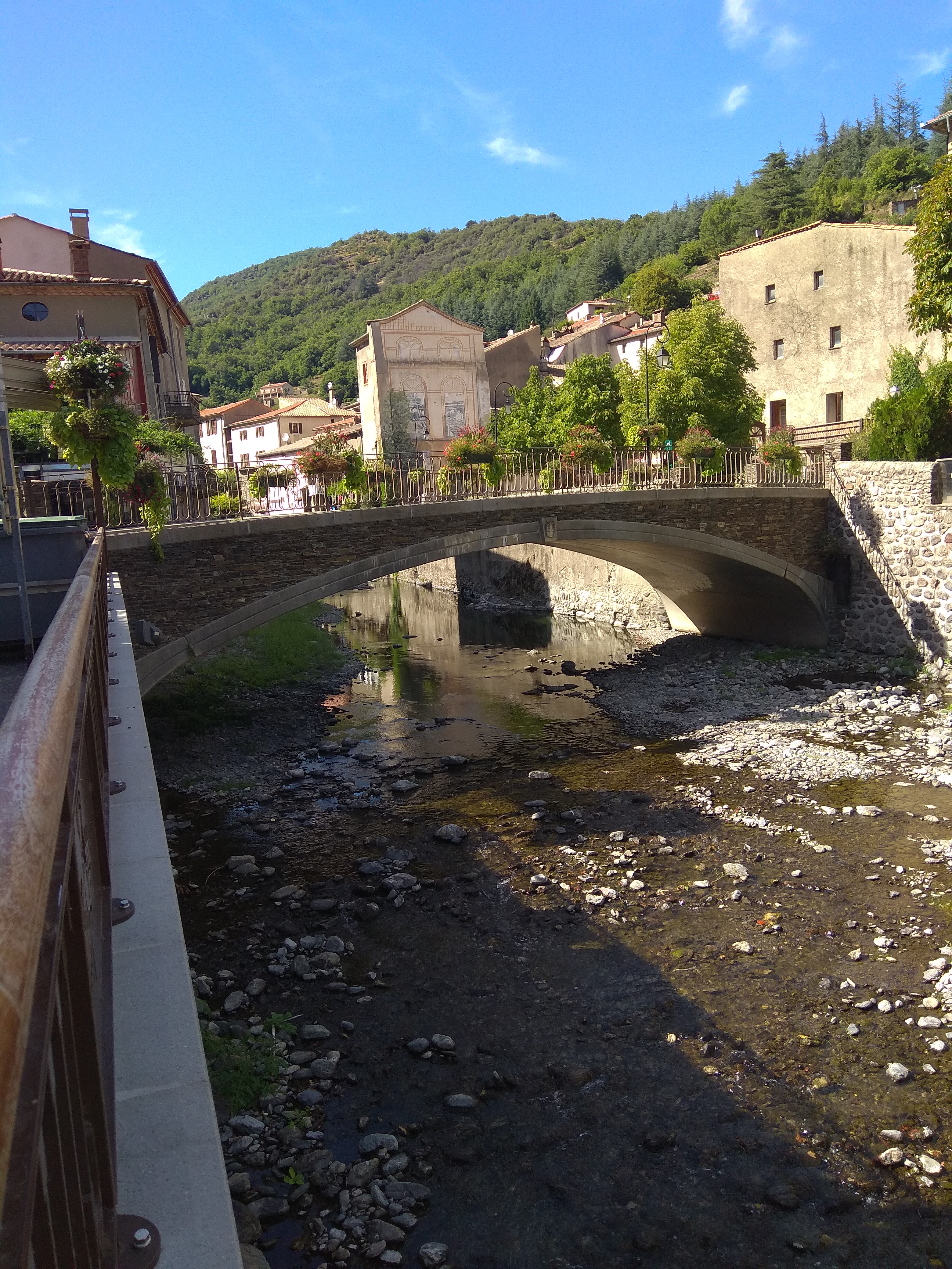 Photo n° 1 de l'avis de Mousekelly. fait le 03/09/2019 à 17:17