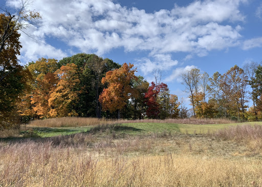 Golf Course «Indiana University Golf Course (IUGC)», reviews and photos, 1350 Indiana 45 46 Bypass, Bloomington, IN 47408, USA