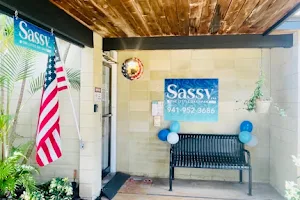 Sassy The Little Day Spa image