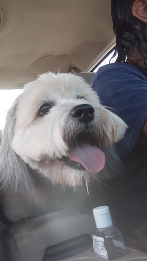 Pet Supply Store «The Dog House», reviews and photos, 4237 S Alameda St, Corpus Christi, TX 78412, USA