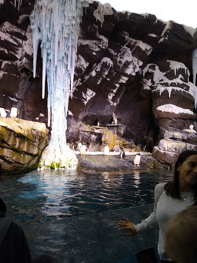 Discount Store «Walmart», reviews and photos, 795 Texas Ave, Bridge City, TX 77611, USA