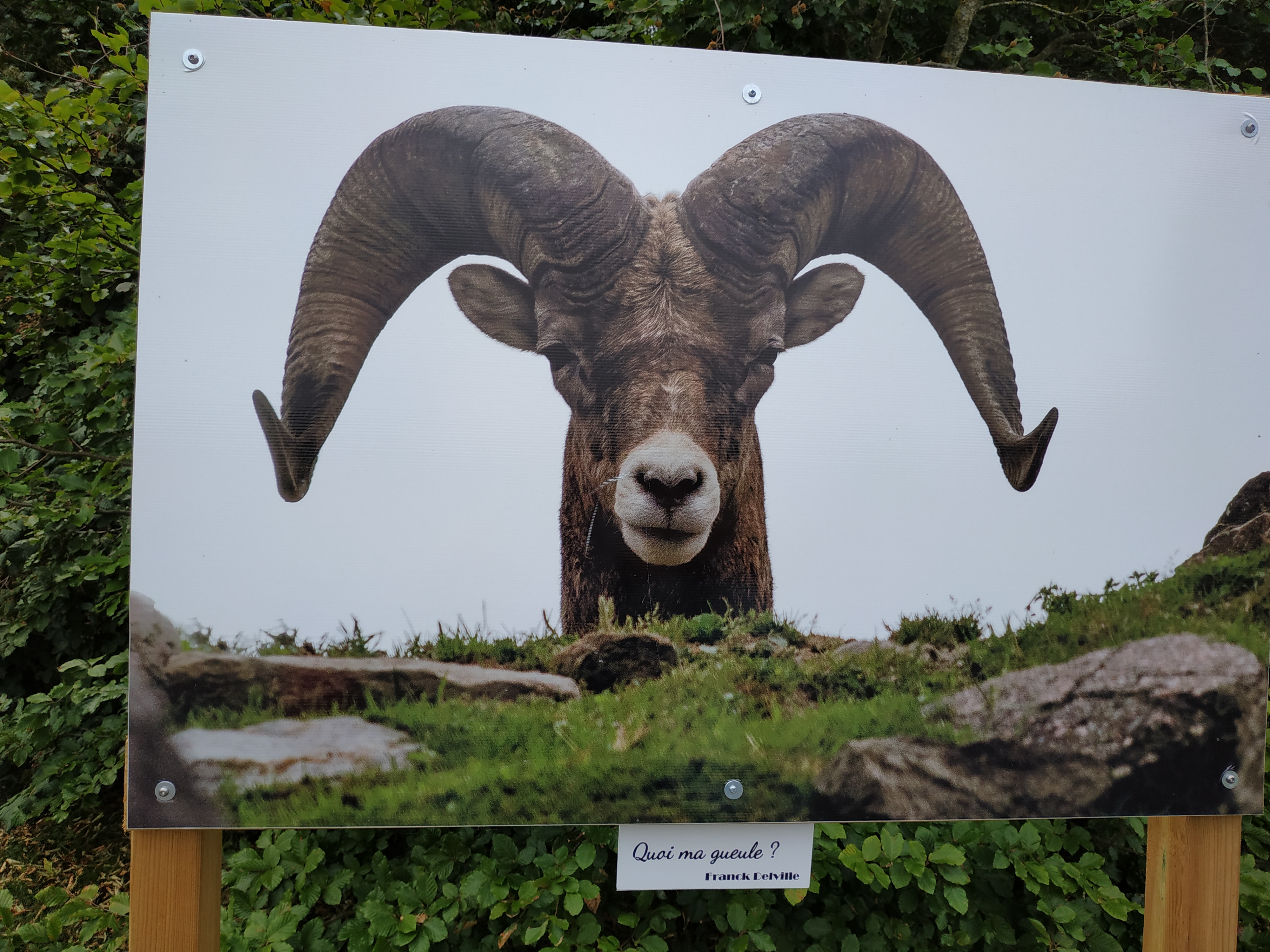 Photo n° 8 de l'avis de Evelyne.e fait le 06/08/2019 à 16:50