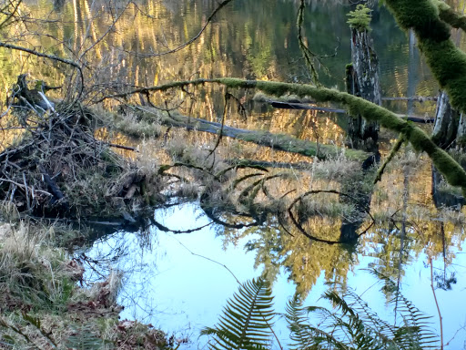 Park «Lord Hill Park», reviews and photos, 12921 150th St SE, Snohomish, WA 98290, USA