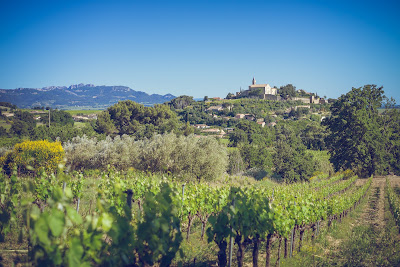 Syndicat des vignerons de Cairanne à Cairanne