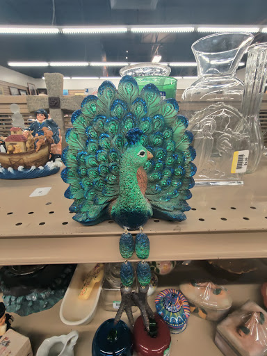 Thrift Store «The Salvation Army Family Store & Donation Center», reviews and photos, 43403 Joy Rd, Canton, MI 48187, USA